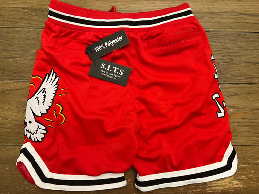 S.I.T.S Elect Shorts